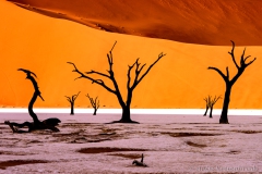 Namibia